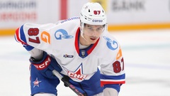 Николай Голдобин