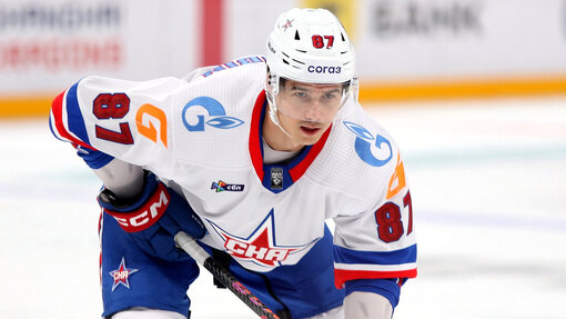 Николай Голдобин