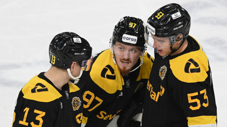 «Северсталь»