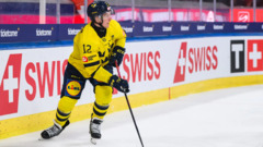 Макс Фриберг