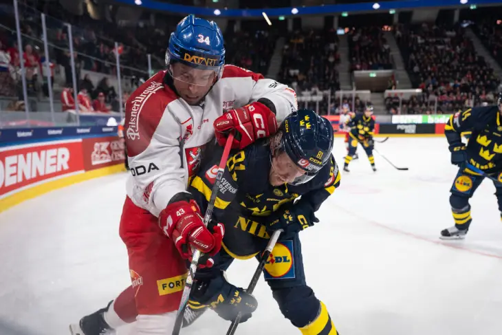 Чехия — Швеция