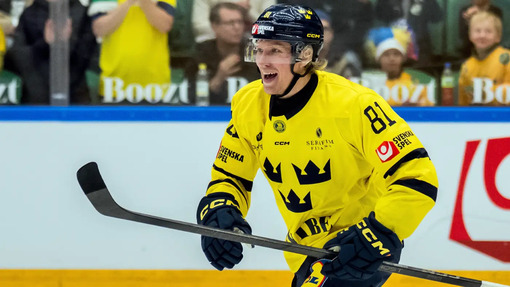 Чехия — Швеция. Прогноз и ставка на матч Прогноз на матч Чехия — Швеция