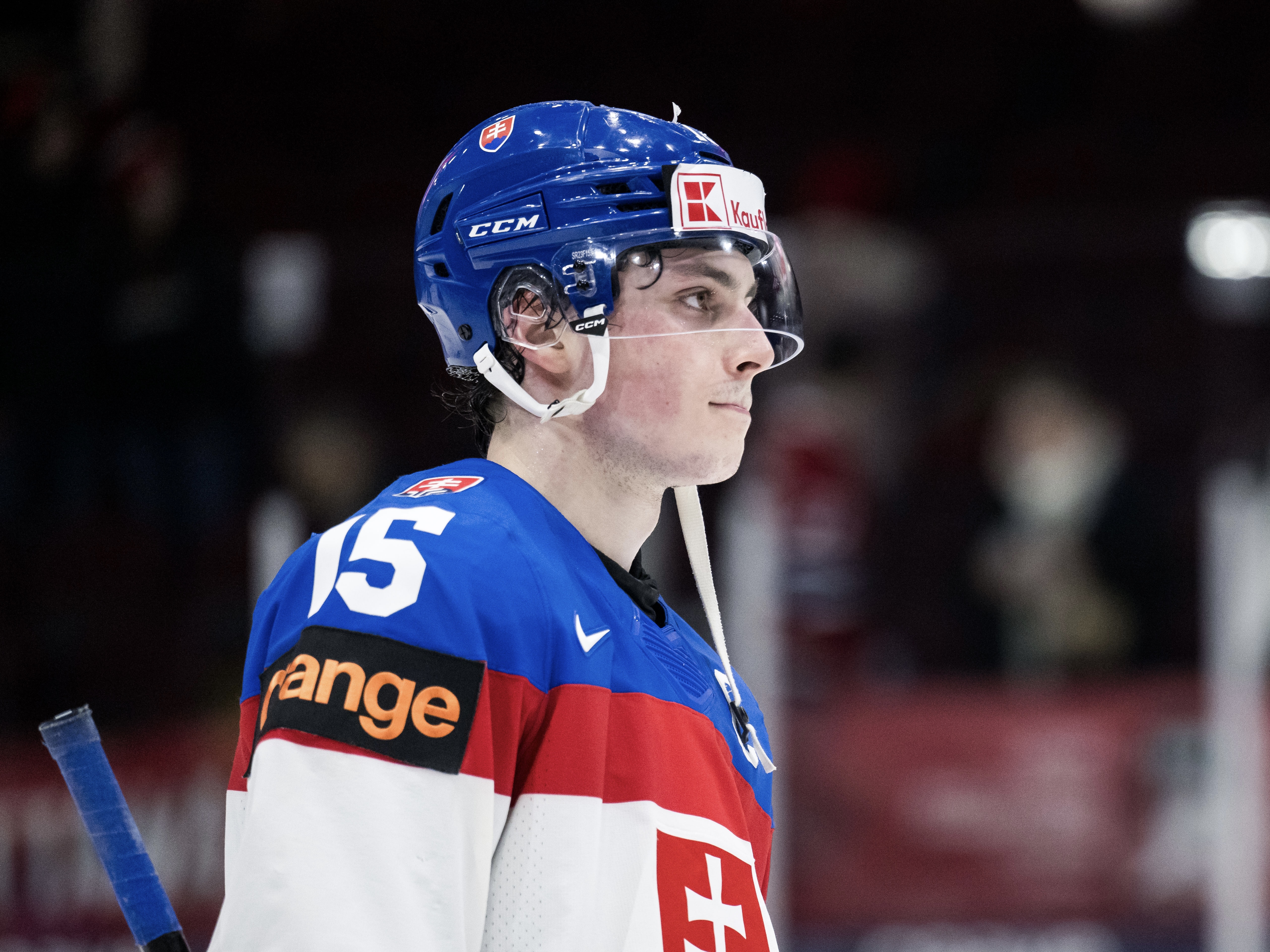 Далибор Дворский