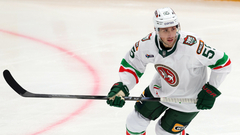 Александр Хмелевски