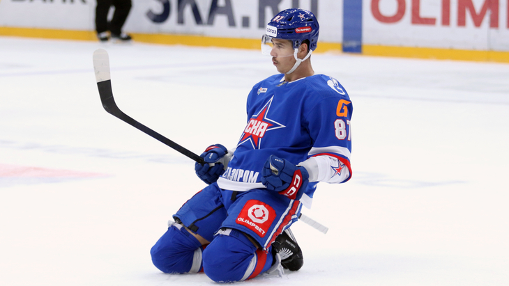 Николай Голдобин