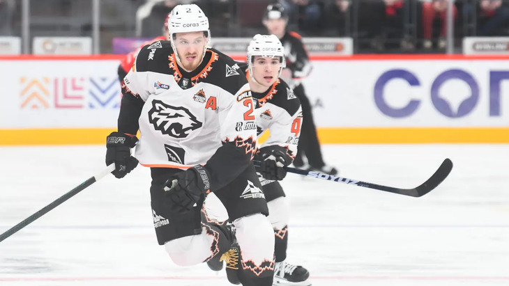 Григорий Дронов