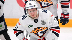 Никита Михайлис