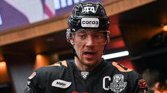 Дамир Шарипзянов