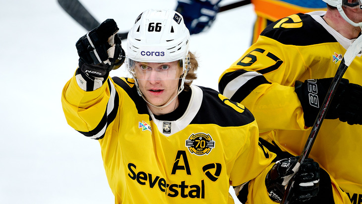 «Северсталь»