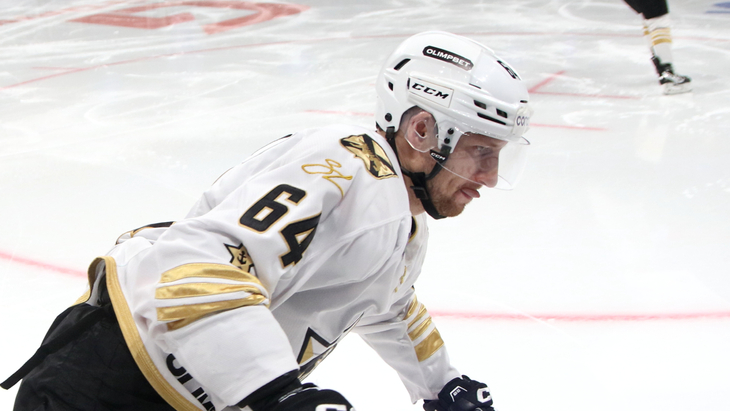 Аркадий Шестаков