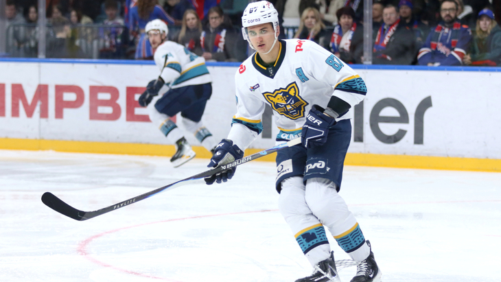 Тимур Хафизов