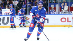 Андрей Педан