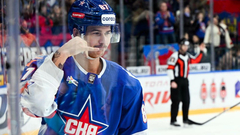 Николай Голдобин