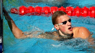 Андрей Гречин