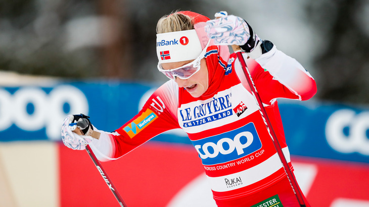 Тереза Йохауг