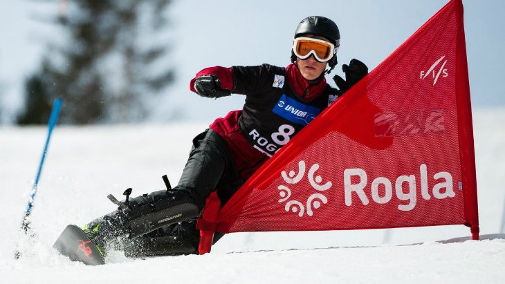 Дмитрий Логинов