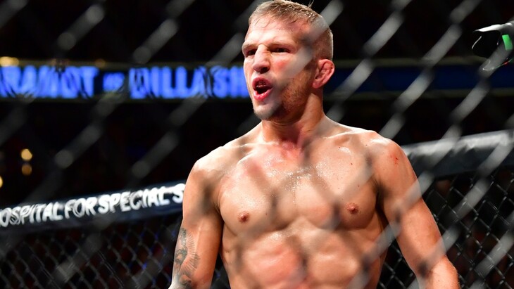 Ти Джей Диллашоу