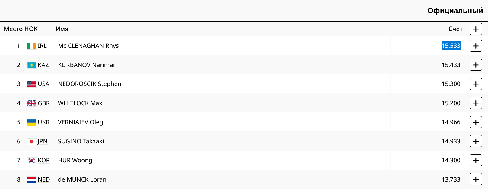Итоговое положение. Мужчины. Конь. 
