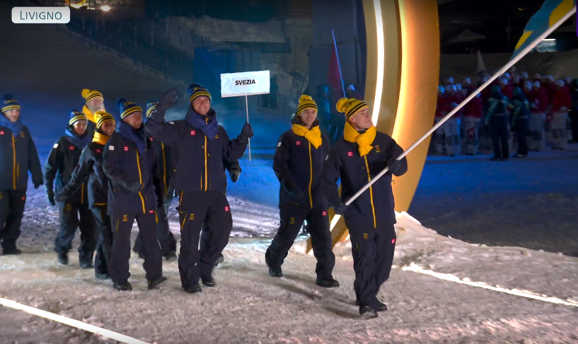 Гнутся шведы