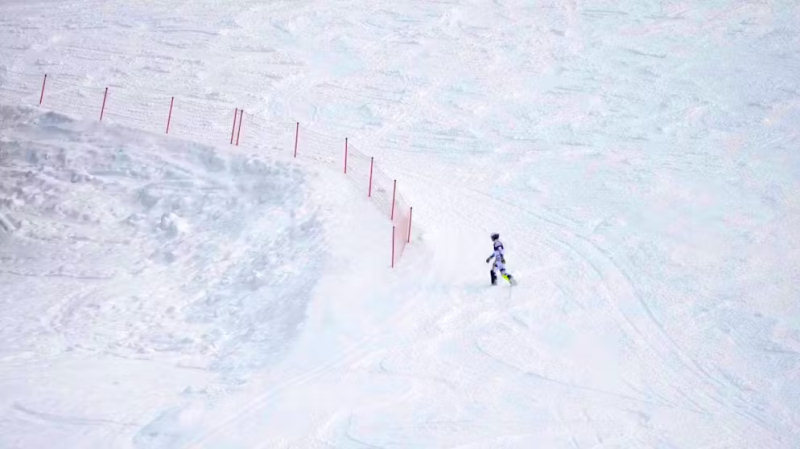 Атле Ли Макграт