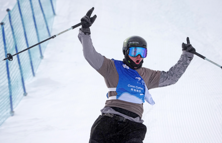 Финли Мелвилл Айвз