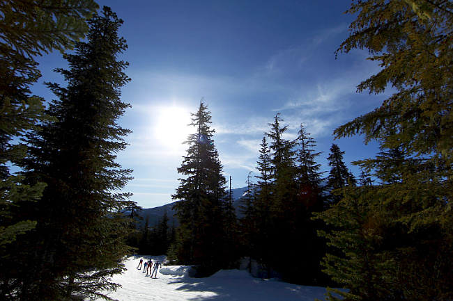 Мужчины в индивидуальной гонке обошлись без бронзы (19 фото)