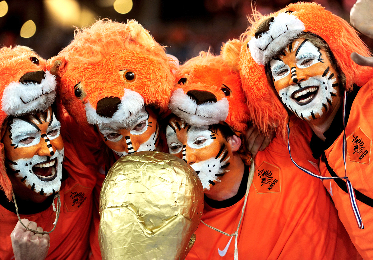 ЧМ-2010. Финал. Нидерланды — Испания 0:1