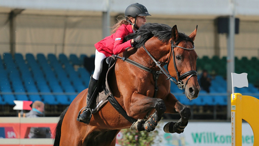 Конный спорт