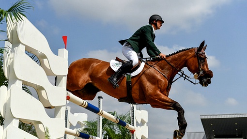 Французы стали лучшими в конном троеборье