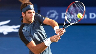 Хуан-Мартин Дель Потро