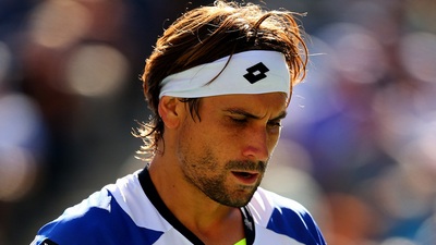 Давид Феррер