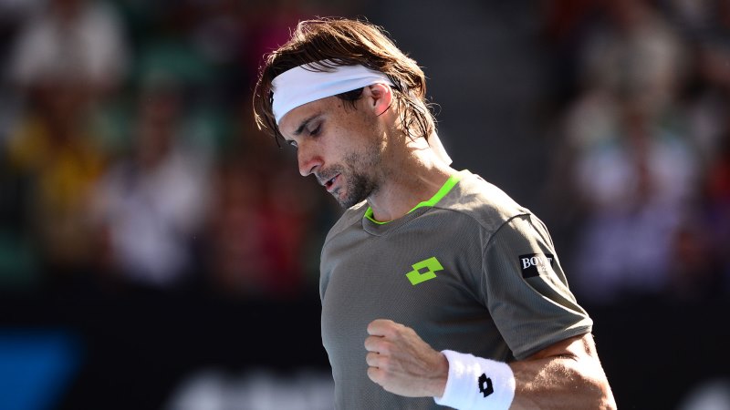 Давид Феррер