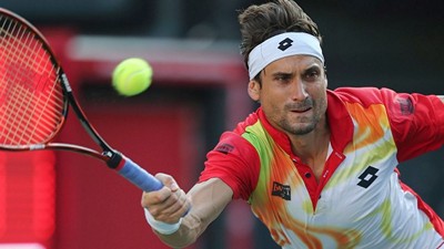 Давид Феррер