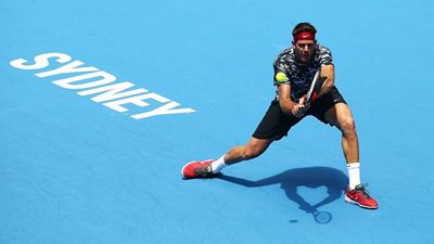 Хуан Мартин Дель Потро