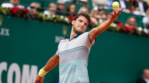 Григор Димитров