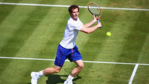 Энди Мюррей