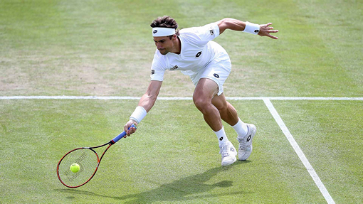 Давид Феррер