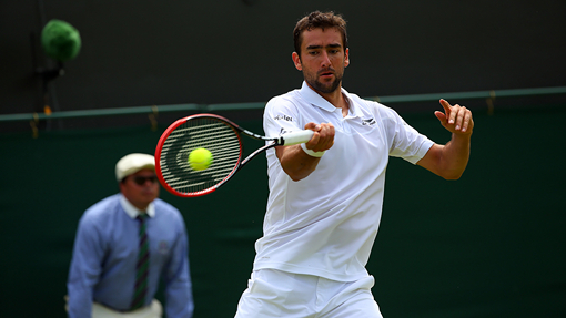 Марин Чилич