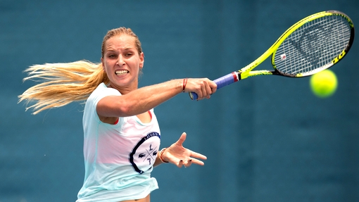 Доминика Цибулкова