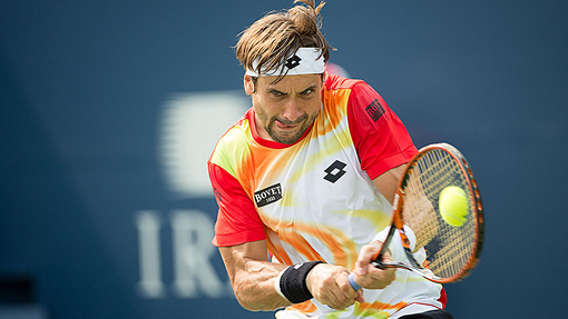 Давид Феррер