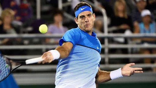 Хуан Мартин Дель Потро