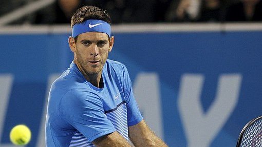 Хуан Мартин Дель Потро