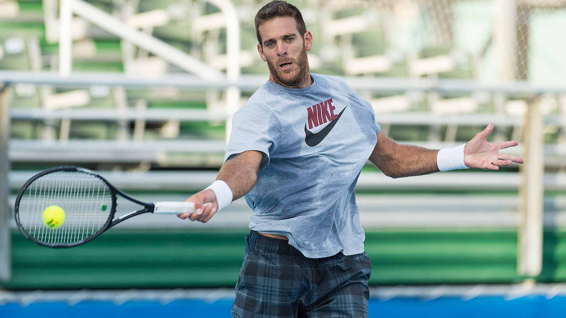 Хуан Мартин Дель Потро