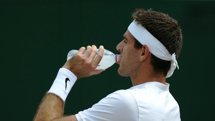 Хуан Мартин Дель Потро