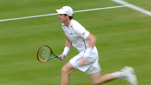 Энди Мюррей