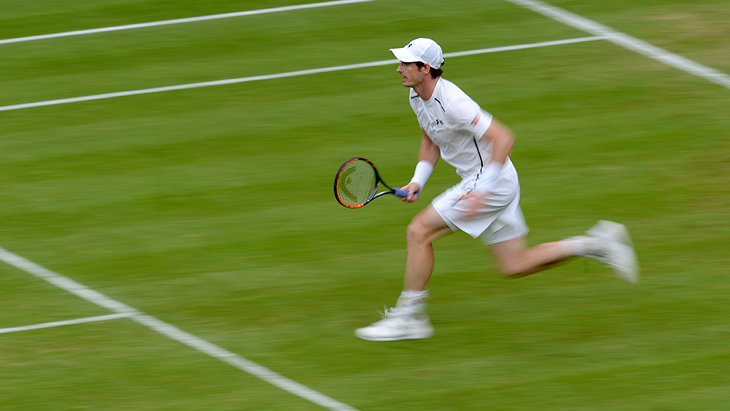 Энди Мюррей