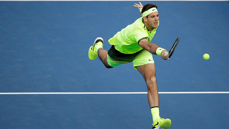 Хуан Мартин Дель Потро