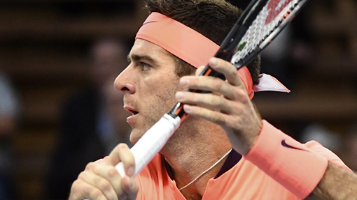 Хуан Мартин Дель Потро