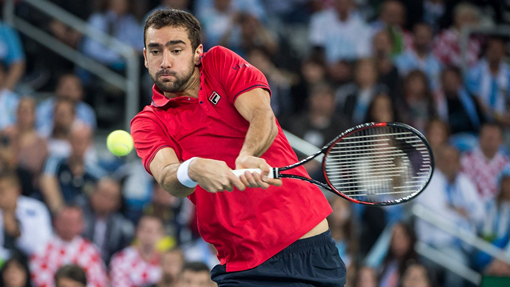 Марин Чилич