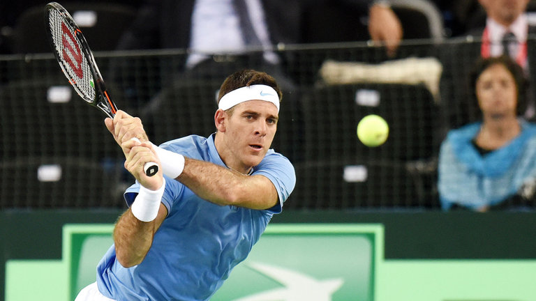 Хуан Мартин Дель Потро